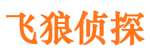 新田侦探